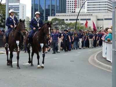 20070804_Scout_100_Brisbane_003_Horses.jpg